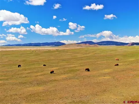 33145 Highway 9, Hartsel, CO 80449 photo 1