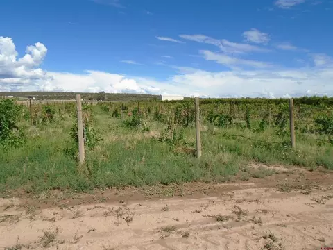 13475 2600 Rd, Eckert, CO 81418 photo 1