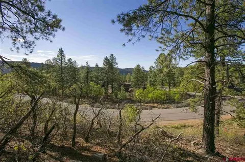 219 Edgemont Highlands Blvd, Durango, CO 81301 photo 1