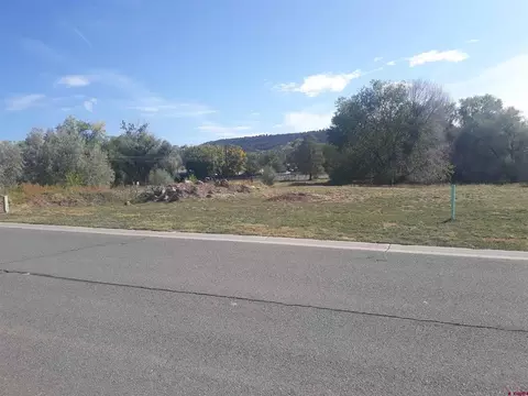 515 SE Stonebridge Dr, Cedaredge, CO 81413 photo 1
