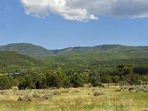 19682 2375 Rd, Cedaredge, CO 81413 photo 1