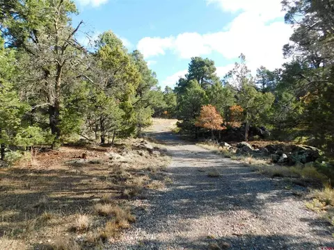 21003 Brimstone Rd, Cedaredge, CO 81413 photo 1
