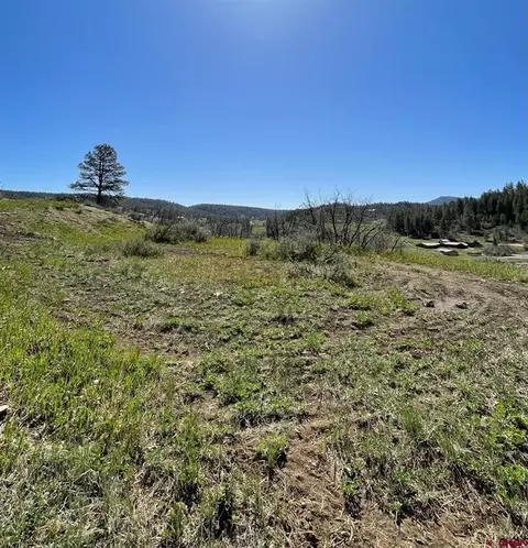 307 Elk Dr, Pagosa Springs, CO 81147