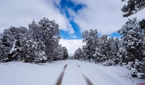 3677 County Road 318, Ignacio, CO 81137 photo 1