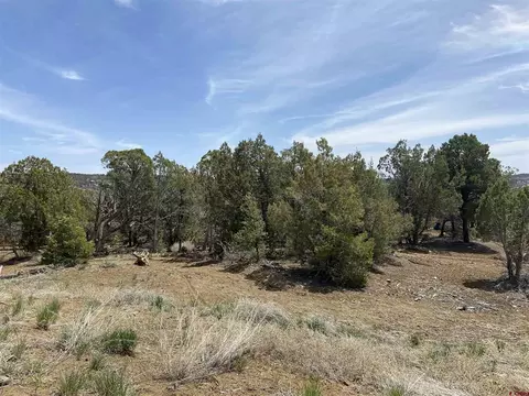 46 Yarrow Ct, Durango, CO 81301 photo 3