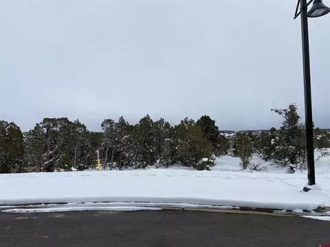 46 Yarrow Ct, Durango, CO 81301 photo 5