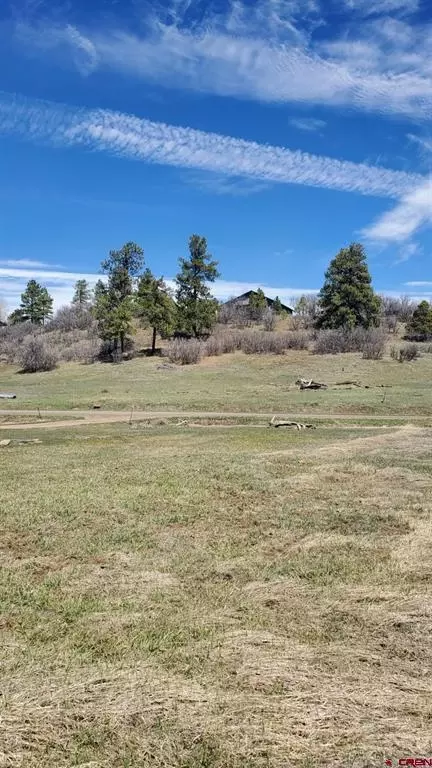 1335 Hills Cir, Pagosa Springs, CO 81147