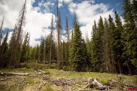 Tbd Forest Service Road 504, Creede, CO 81130