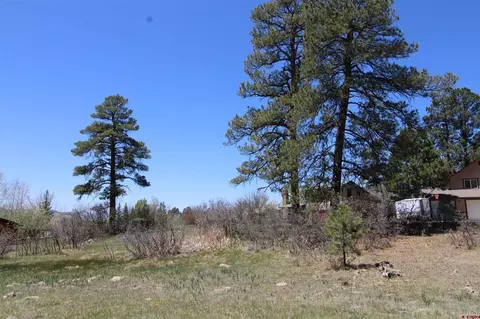 685 Caddy Cir, Pagosa Springs, CO 81147