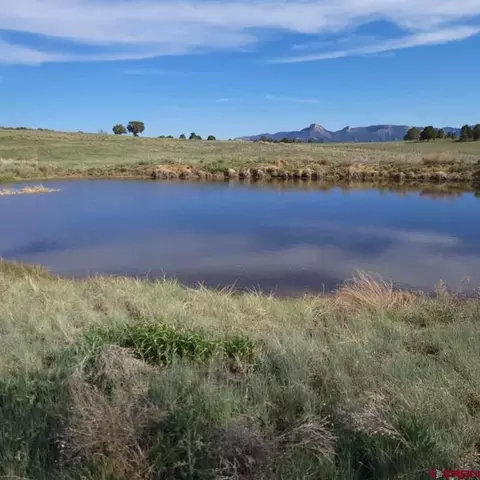 Lot 8 Road 33, Mancos, CO 81328