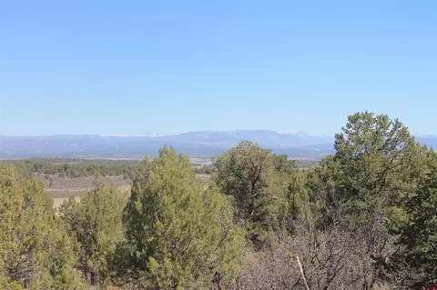 6812 County Road 318, Ignacio, CO 81137 photo 1