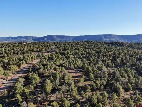 6846 County Road 318, Ignacio, CO 81137 photo 1