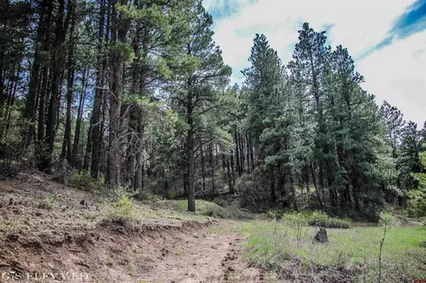 548 Bear Creek Cir, Bayfield, CO 81122