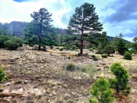 42 Ellingwood Drive, South Fork, CO 81154