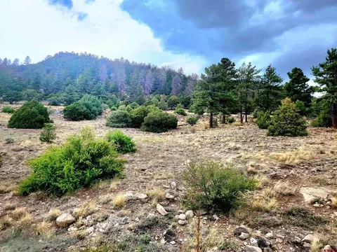43 Ellingwood Drive, South Fork, CO 81154
