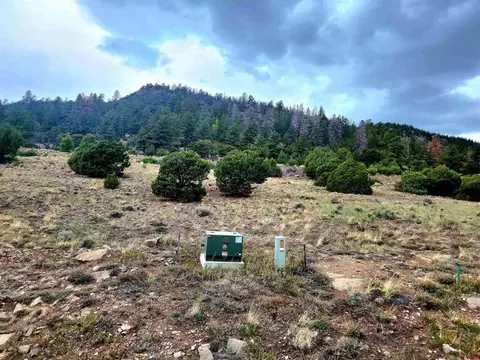 44 Ellingwood Drive, South Fork, CO 81154