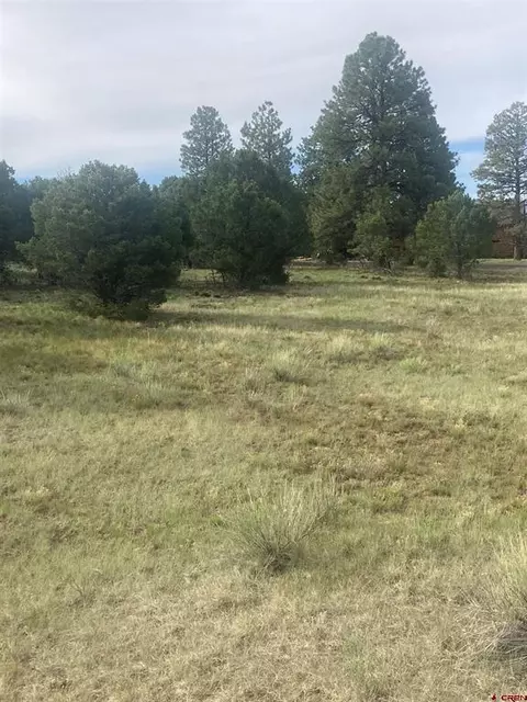 lot342 Bear Cub Dr, Ridgway, CO 81432