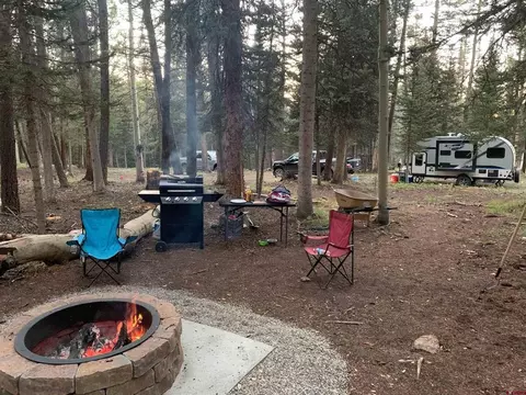 127 Ridge Rd, Cimarron, CO 81220 photo 1