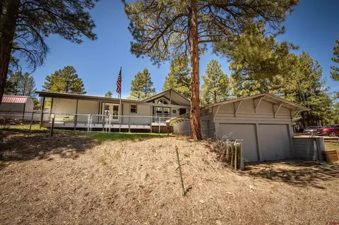 18 Bienvenido Cir, Pagosa Springs, CO 81147