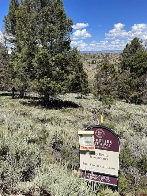 470 Mosquito Trl, Powderhorn, CO 81243