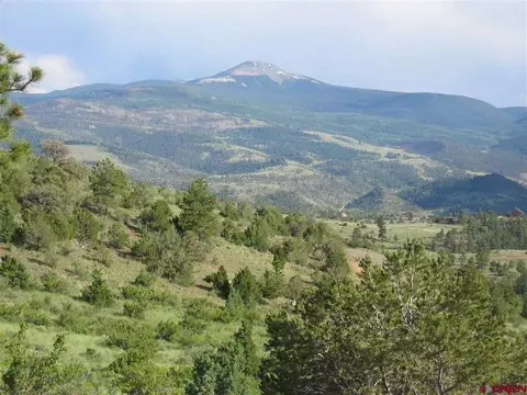 258 Black Bear Trl, South Fork, CO 81154