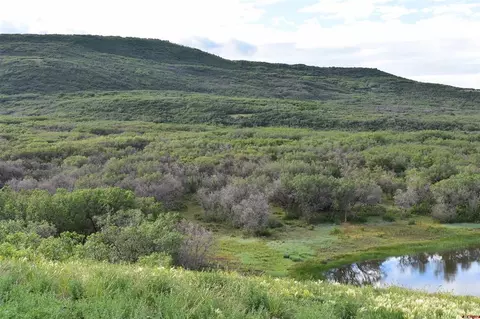 9723 Road 274, Dolores, CO 81323