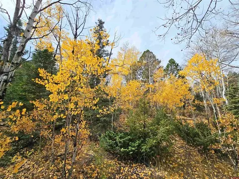 Lot 13b South Rito Hondo Court, Antonito, CO 81120