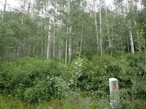 321 Scotch Creek Rd, Durango, CO 81301 photo 1