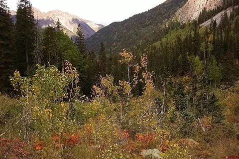 tbd Needle Creek Trl, Durango, CO 81301