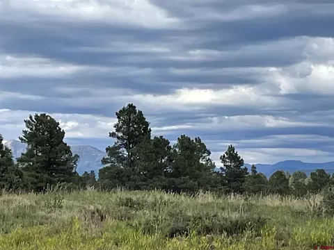 23 Domicile Cir, Pagosa Springs, CO 81147