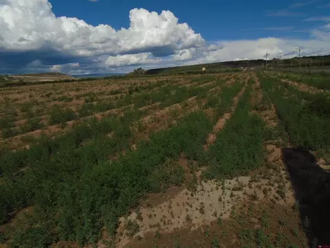 Lot 1 2150 Road, Austin, CO 81410