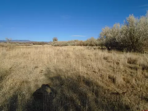 Tbd Highway 65, Cedaredge, CO 81418
