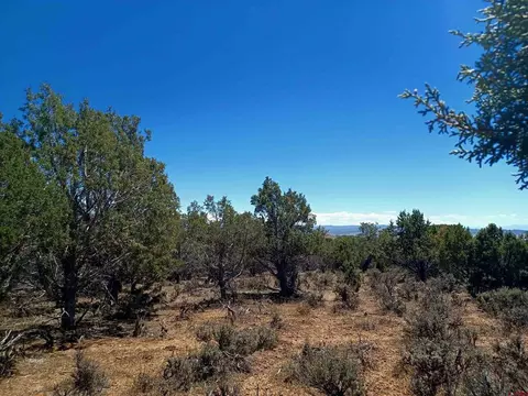 Tbd 2525 Road, Cedaredge, CO 81413