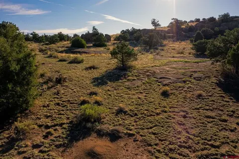 1087 Pronghorn Trl, Del Norte, CO 81132