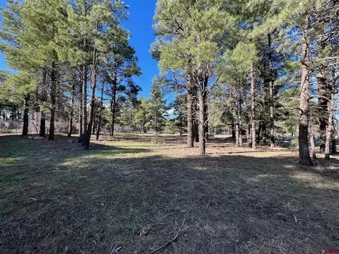 824 Antelope, Pagosa Springs, CO 81147