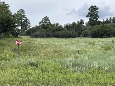 1084 Crowley Dr, Chromo, CO 81147