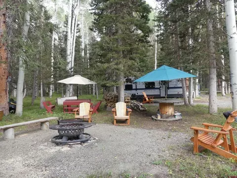 1750 Spruce Rd, Cimarron, CO 81220 photo 1