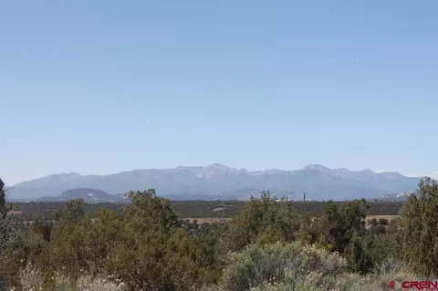 Tbd County Road 309, Ignacio, CO 81137