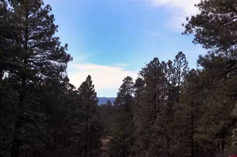 201 Doc Adams Rd, Pagosa Springs, CO 81147
