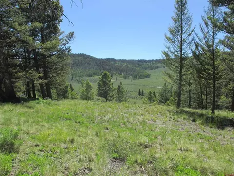 1021 Slumgullion Trl, Powderhorn, CO 81243