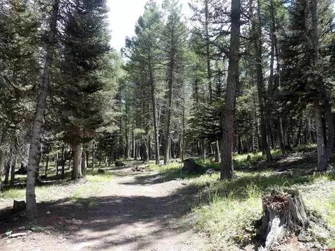133 Ridge Rd, Cimarron, CO 81220