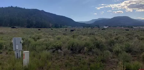 173 Willow Park Dr, South Fork, CO 81154