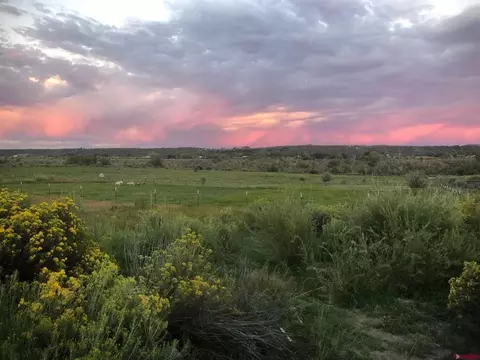 4879 County Road 213, Durango, CO 81303 photo 1