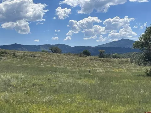 1174 W Arbol Park Dr, Chromo, CO 81147