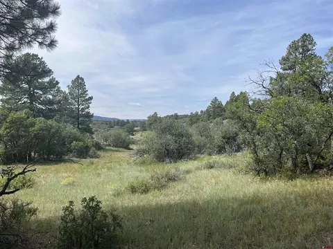 257 E Arbol Park Dr, Chromo, CO 81128