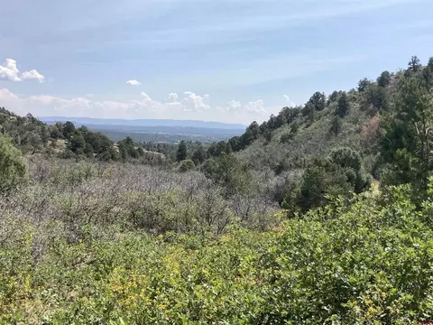 Parcel 9 Wild Turkey Canyon, Durango, CO 81301