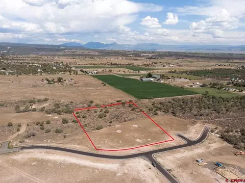 lot6 Pine Ridge Rd, Cedaredge, CO 81413