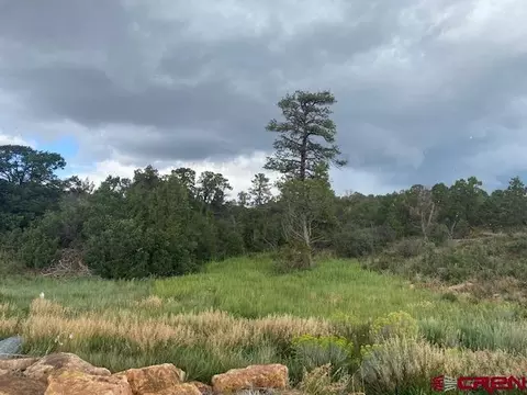 Tbd Road 15, Dove Creek, CO 81324