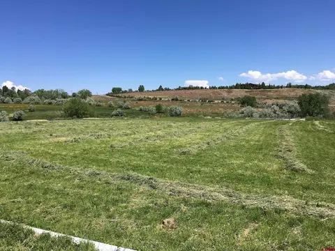 Lot 9 Mallard Lane, Montrose, CO 81403