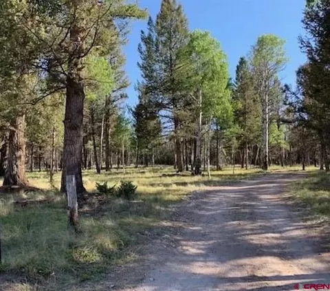 514 Monarch Rd, Powderhorn, CO 81243